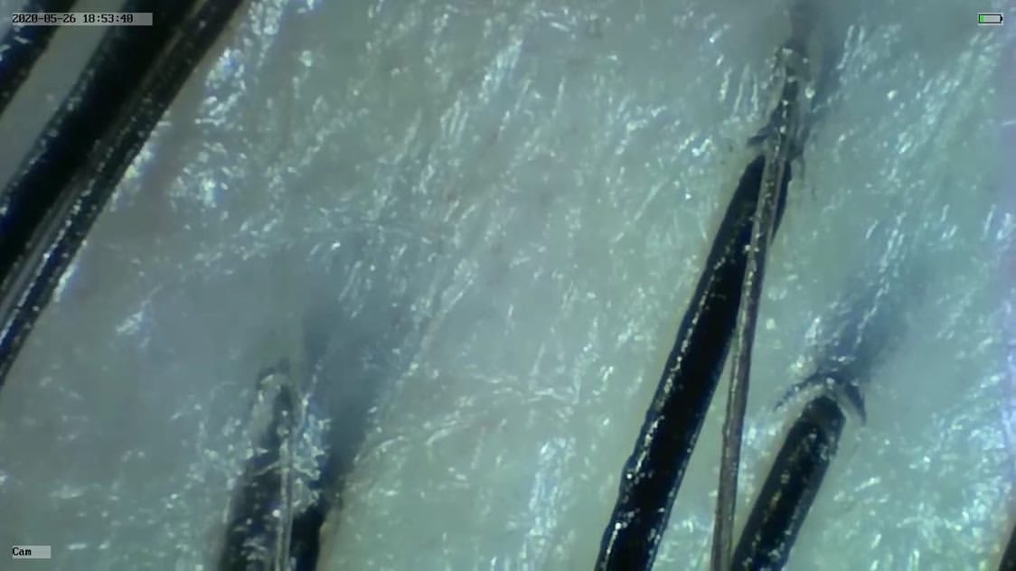 S__71696488.jpg S__71696488.jpg