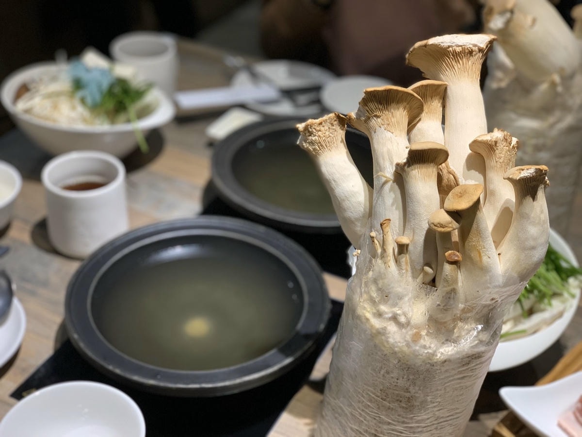 S__71860323.jpg S__71860323.jpg