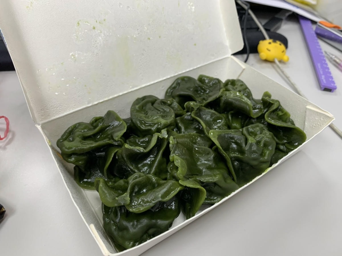 S__72540171.jpg S__72540171.jpg