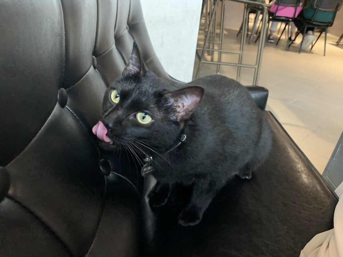 S__72032351.jpg S__72032351.jpg