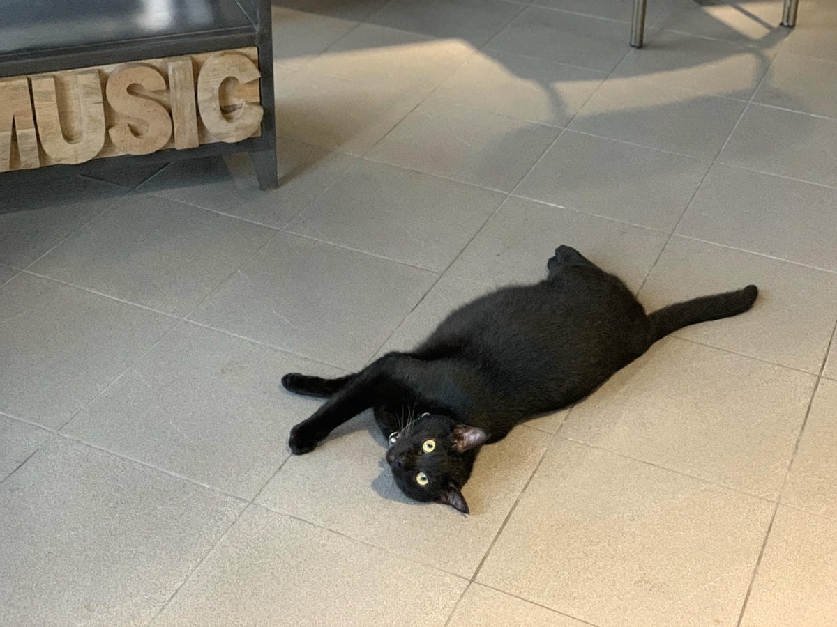 S__72032342.jpg S__72032342.jpg