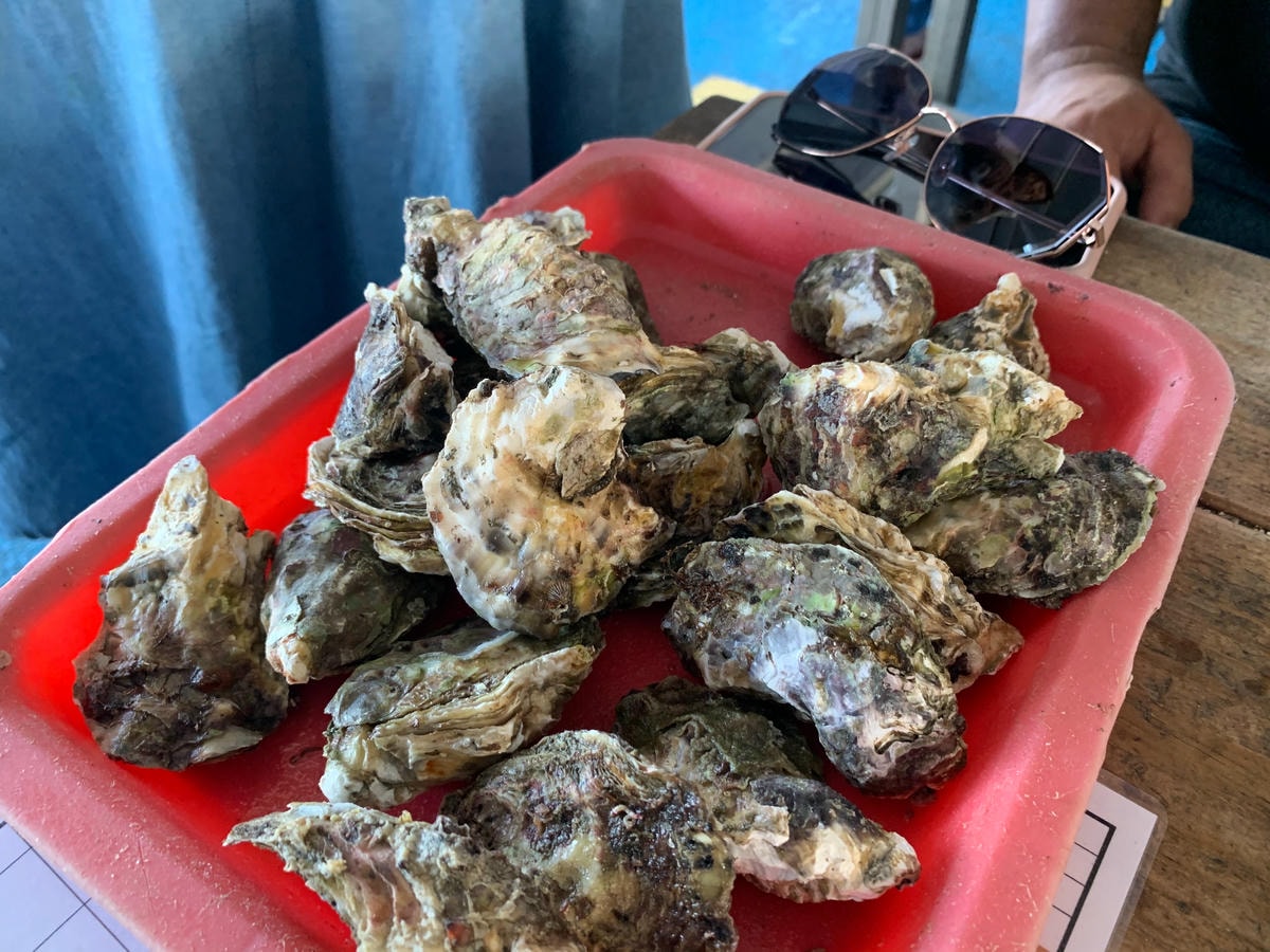 S__75276465.jpg S__75276465.jpg