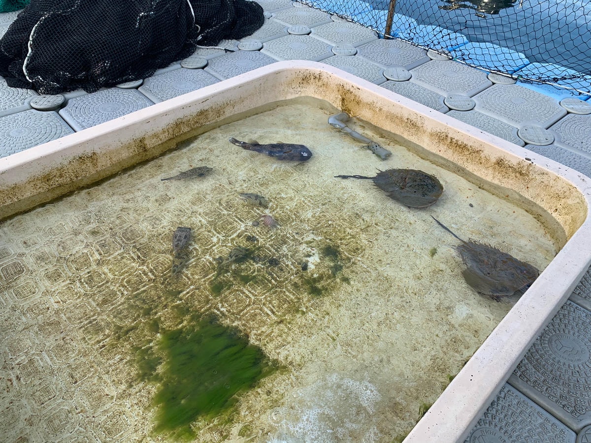 S__75276476.jpg S__75276476.jpg