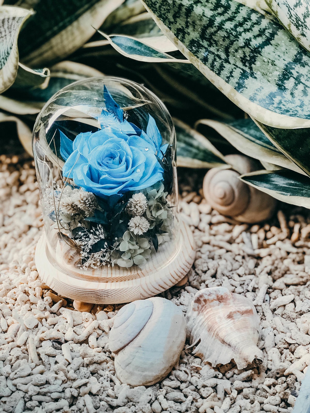 S__59588689.jpg S__59588689.jpg