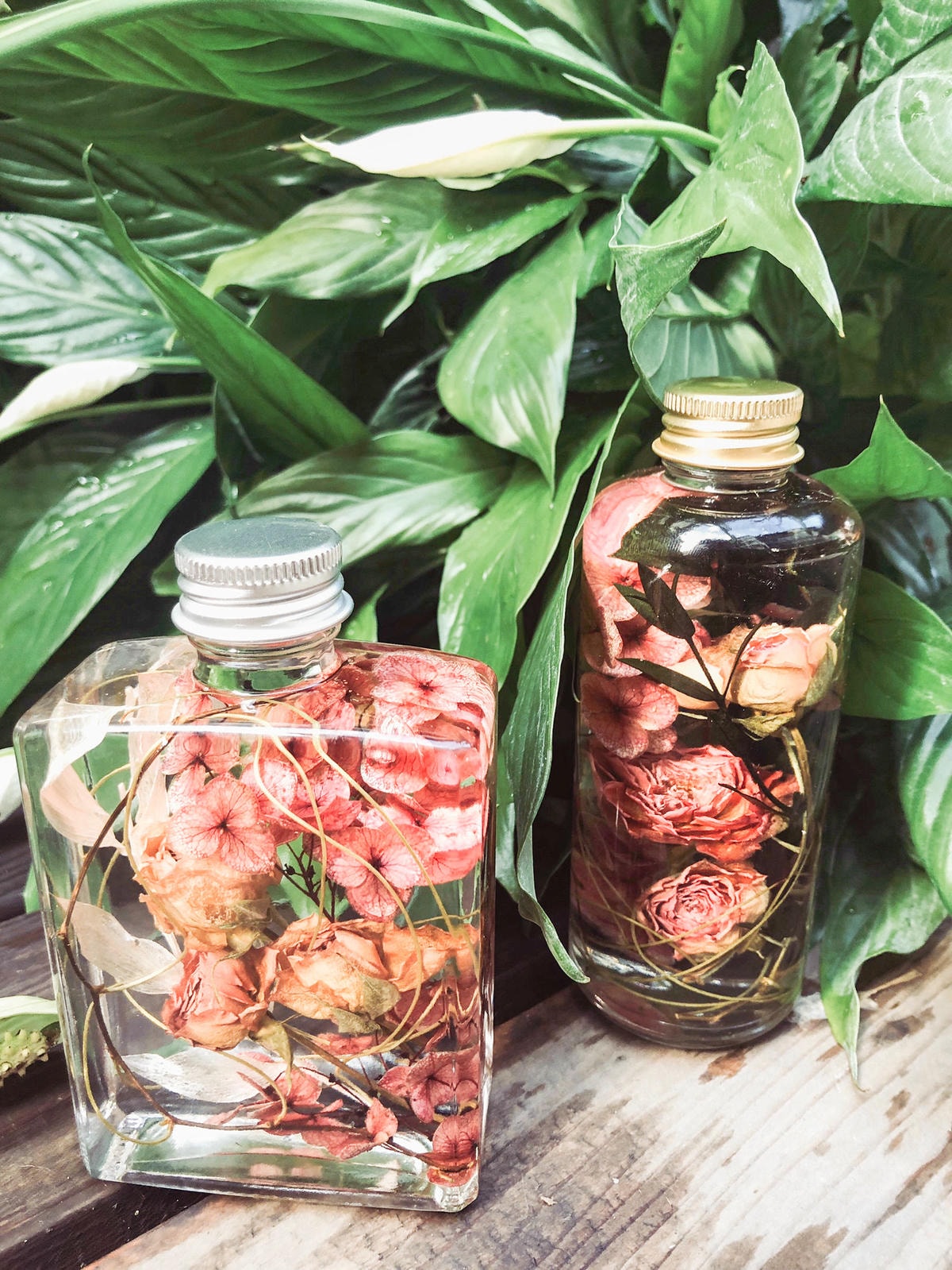 S__59588688.jpg S__59588688.jpg