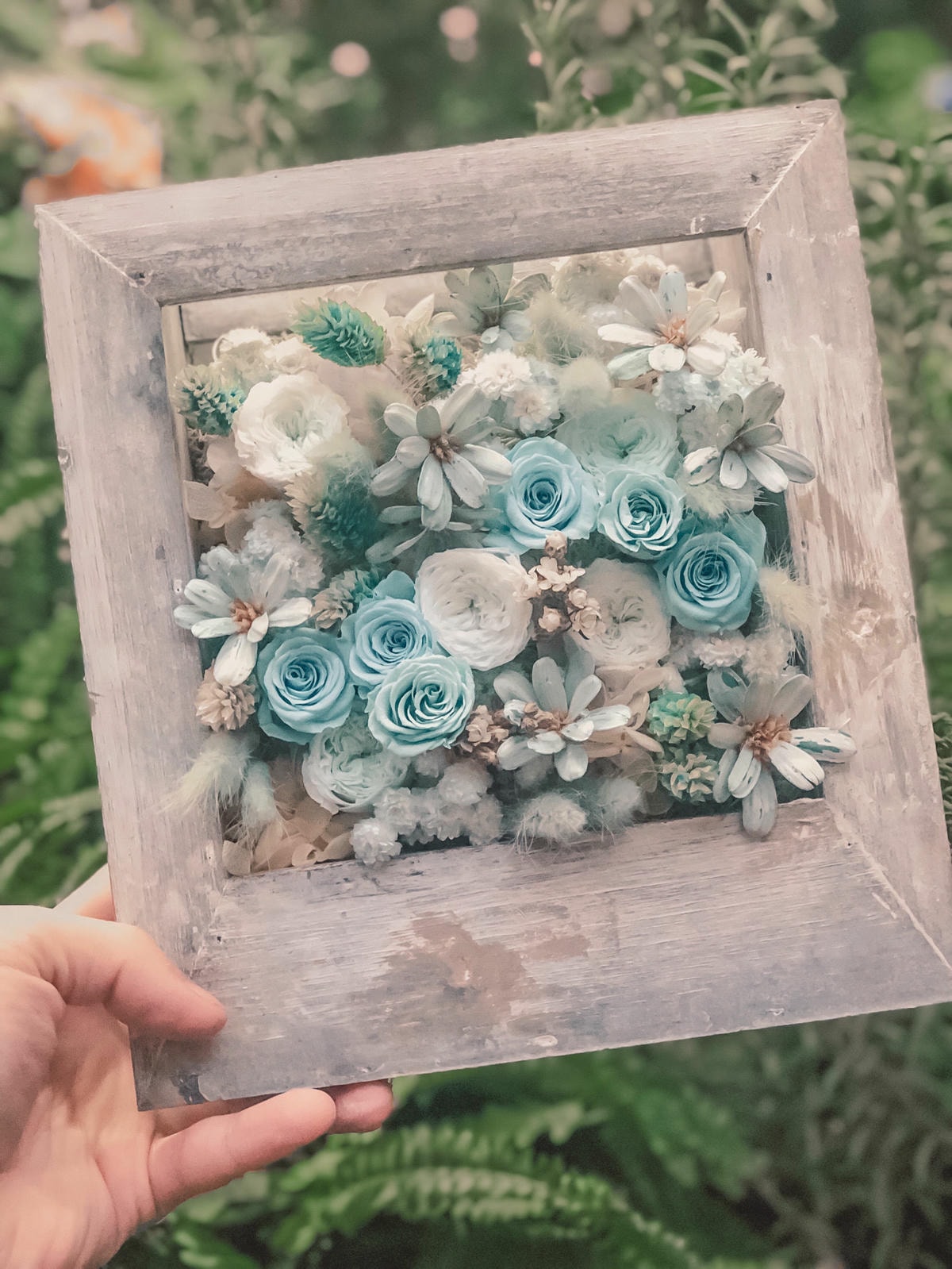 S__59588687.jpg S__59588687.jpg