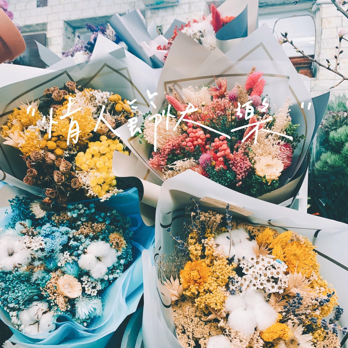 S__59523186.jpg S__59523186.jpg