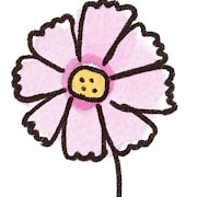 コスモスのイラスト(花)
