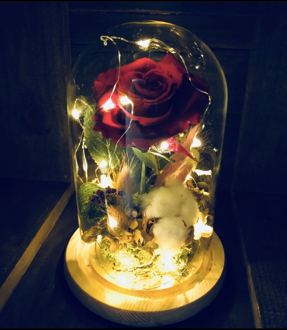 S__59596827.jpg S__59596827.jpg