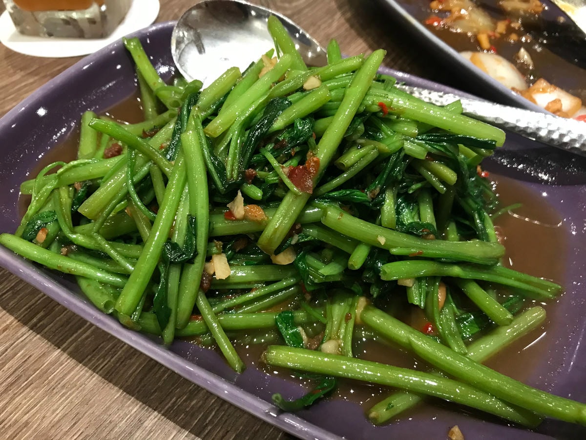 S__3022897.jpg S__3022897.jpg