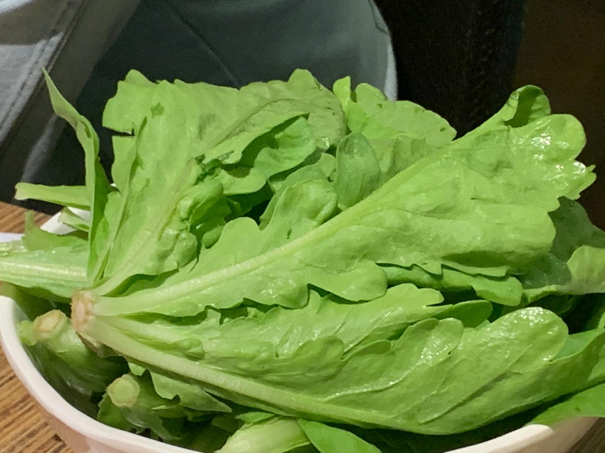 S__12394535.jpg S__12394535.jpg