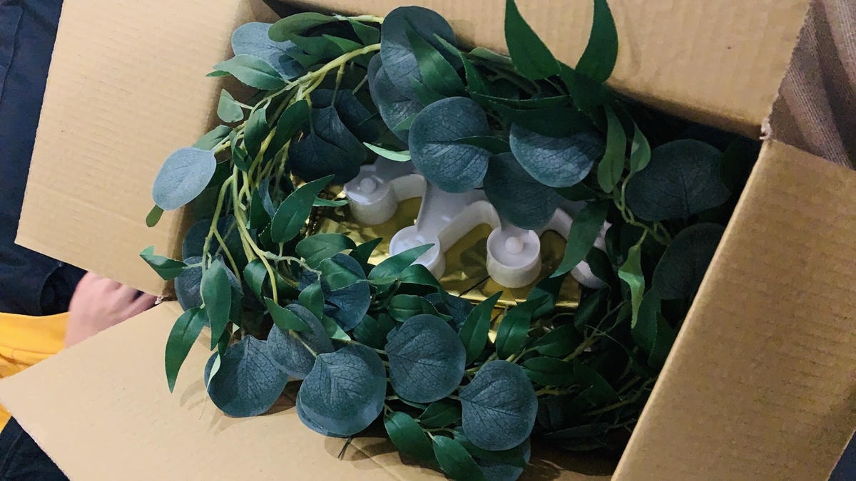 S__21569567.jpg S__21569567.jpg