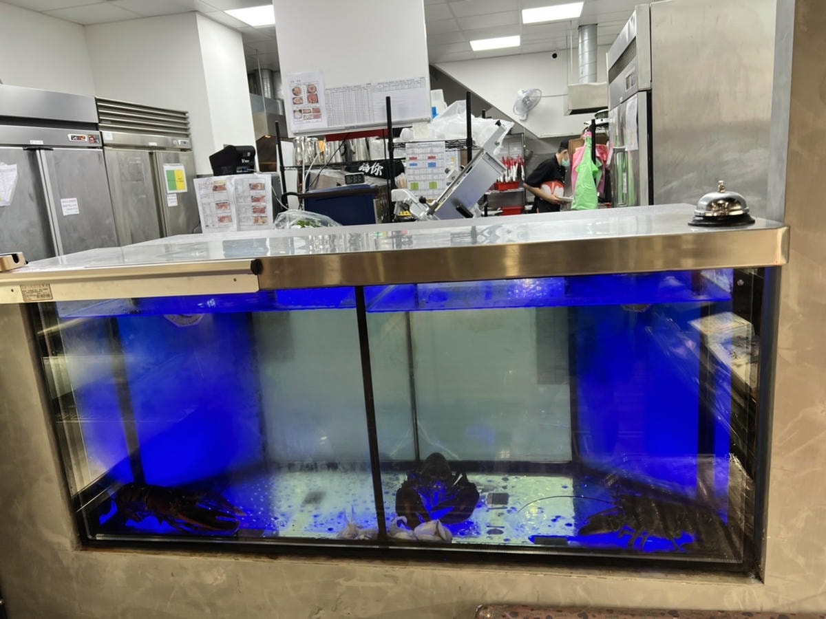 S__42672131.jpg S__42672131.jpg