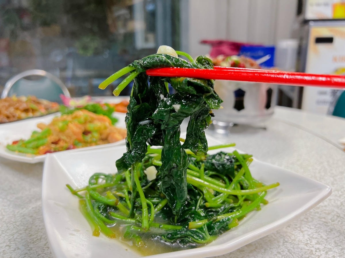 S__44474390.jpg S__44474390.jpg