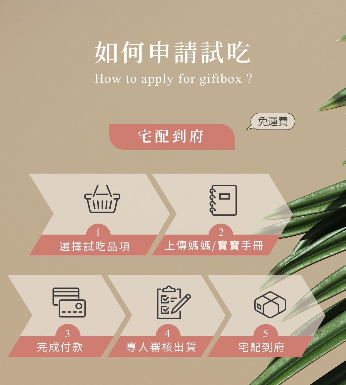 [ 彌月禮盒 ] 六月初一 8結蛋捲 – 幾米彌月禮盒 2022彌月禮盒分享 彌月禮盒推薦試吃申請 台中超人氣彌月禮盒