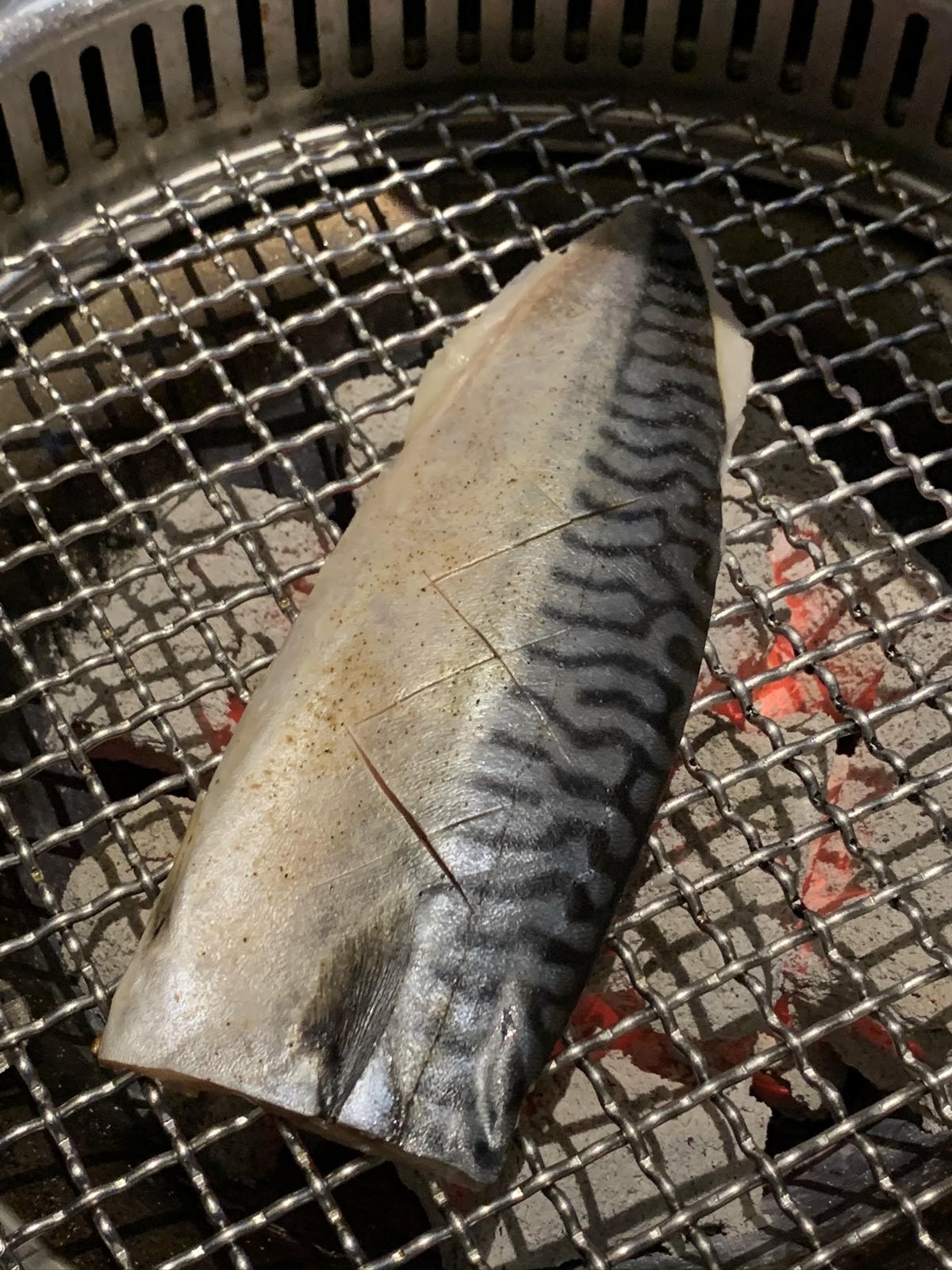 IMG_4071.HEIC IMG_4071.HEIC