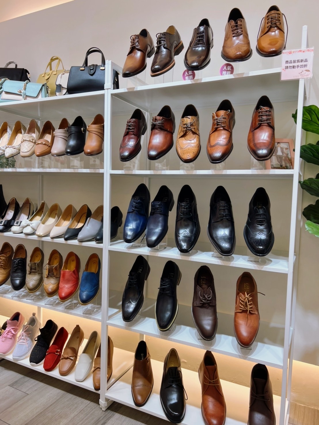 S__59039758.jpg S__59039758.jpg