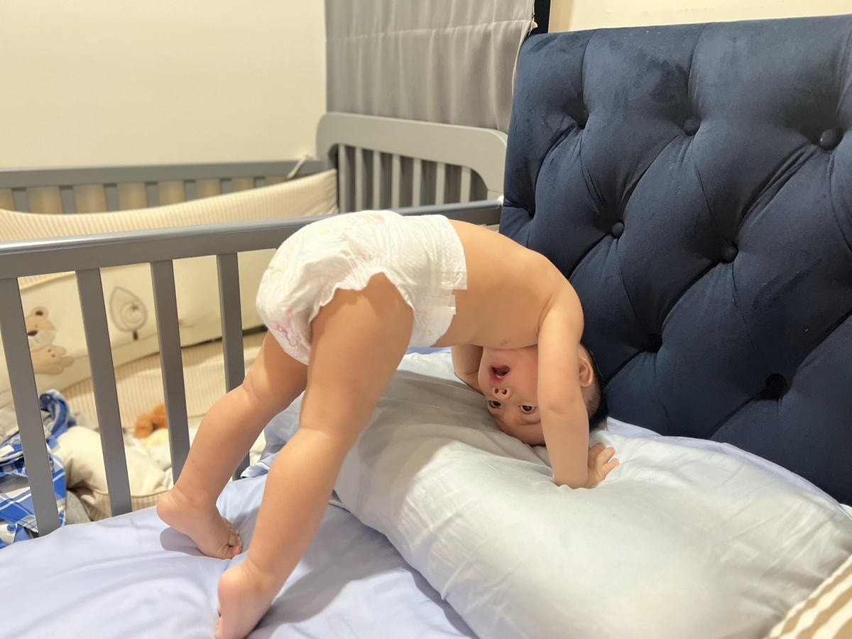 S__68837380.jpg S__68837380.jpg