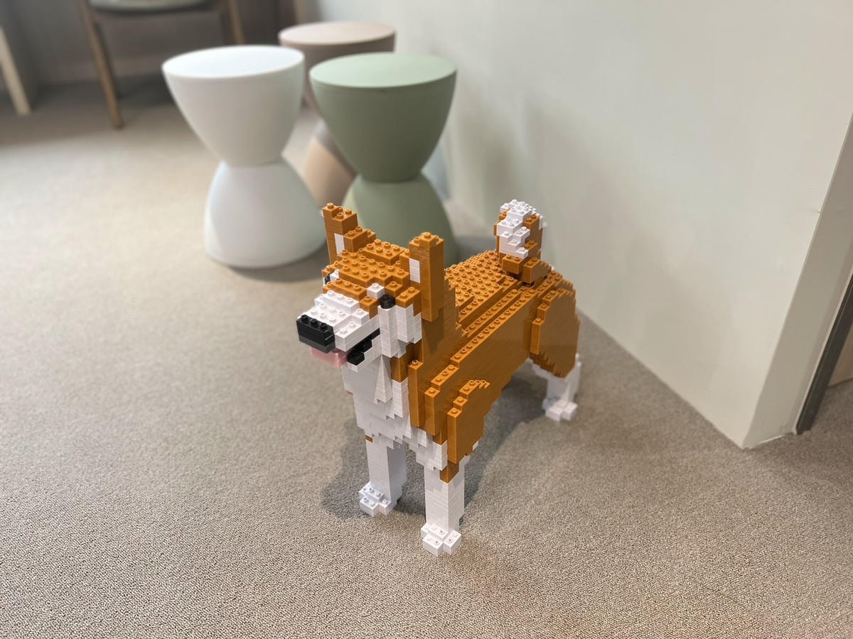 S__70623379.jpg S__70623379.jpg