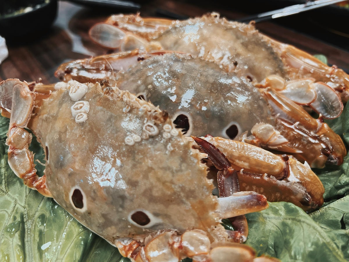 S__70393882.jpg S__70393882.jpg