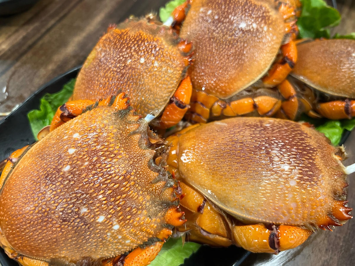 S__70393880.jpg S__70393880.jpg