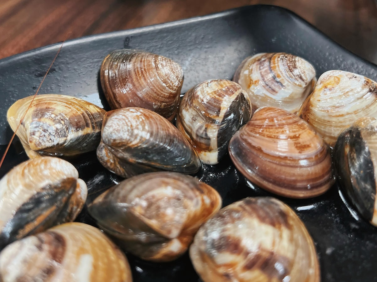 S__70393876.jpg S__70393876.jpg