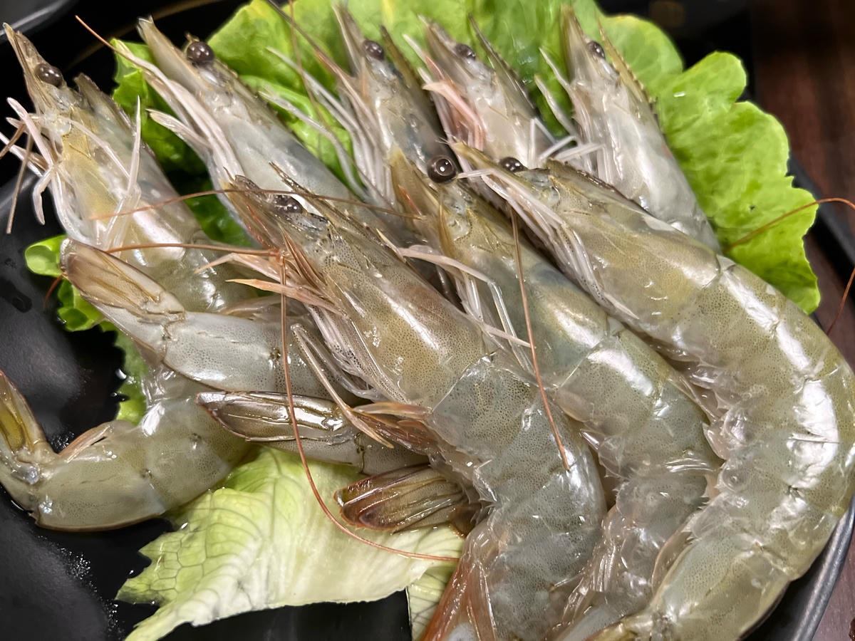 S__70393879.jpg S__70393879.jpg