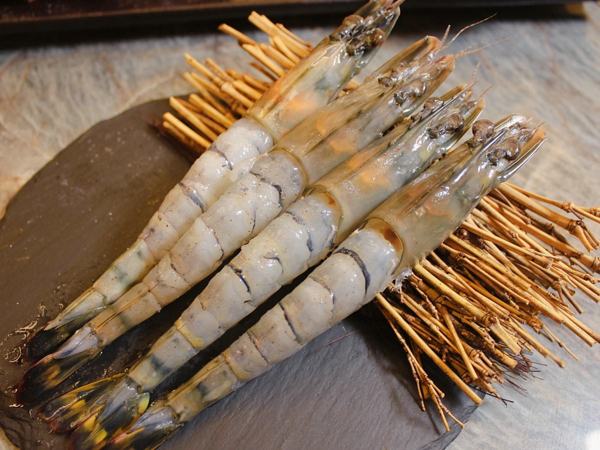 S__71958561.jpg S__71958561.jpg