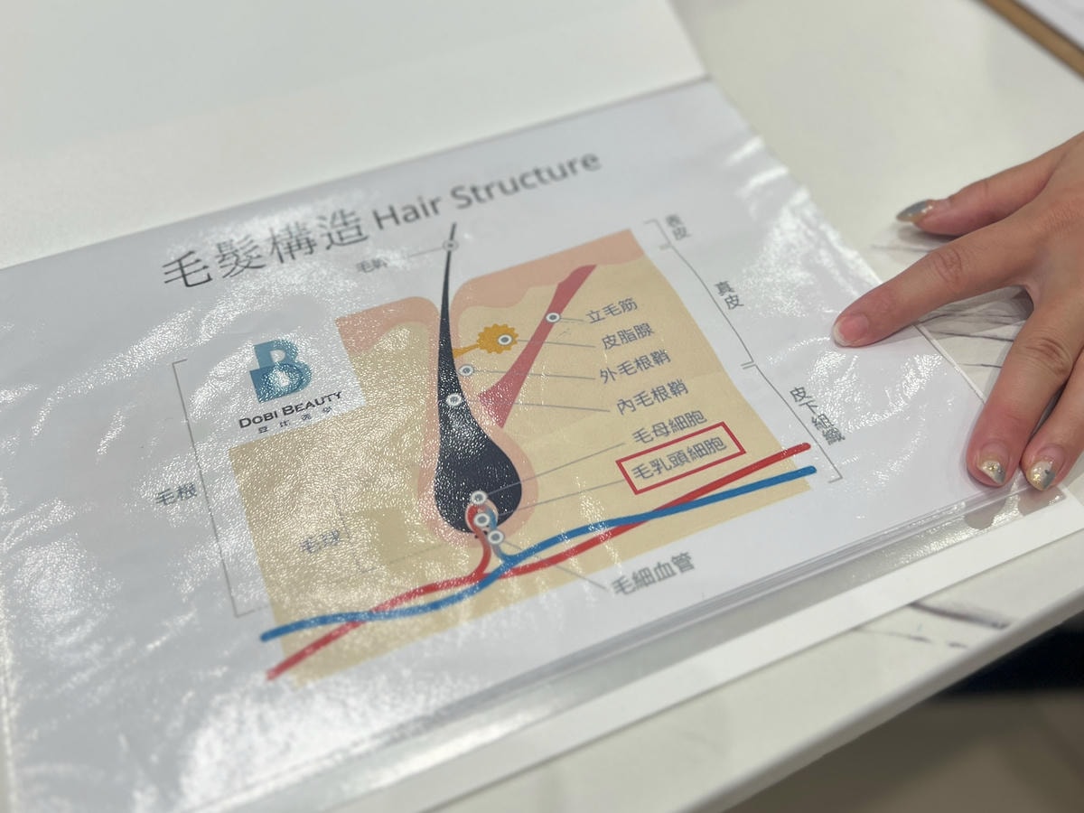 (未設定標題) (未設定標題)