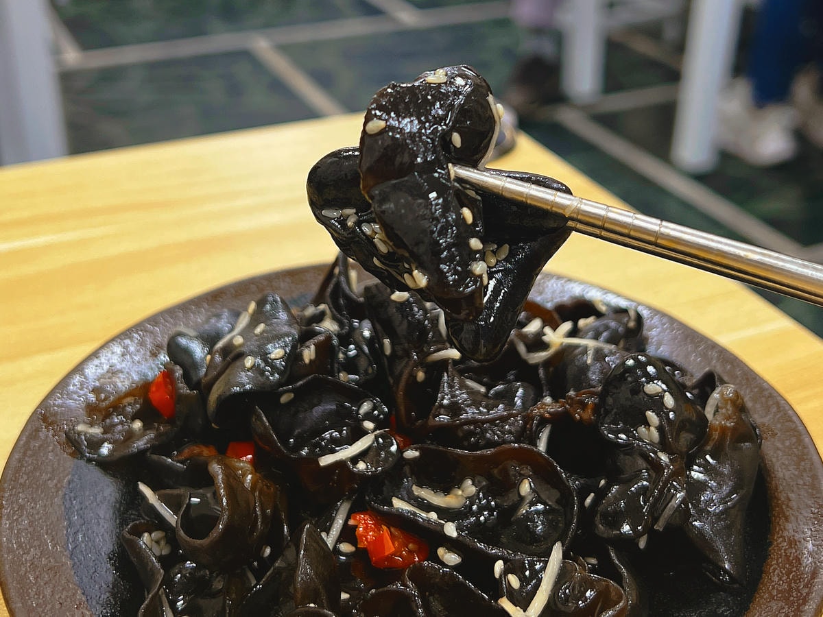 [ 桃園食記 ] 鼎新鵝肉飯玉里麵中原店 中壢火車站美食