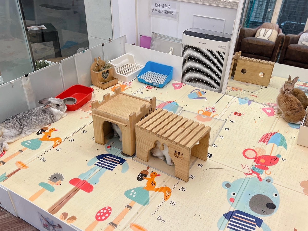 [ 台中食記 ] 綠萼159地中海南法料理 兔奴俱樂部 