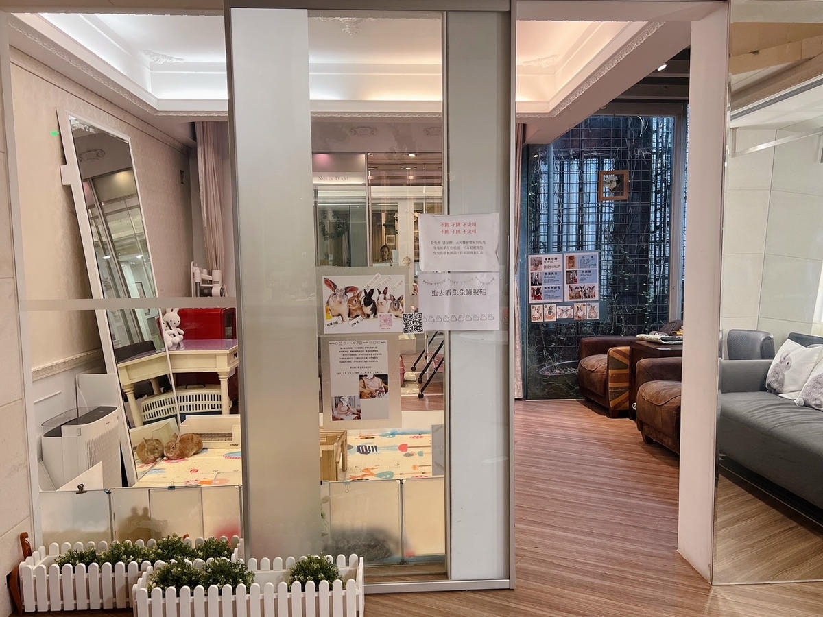 [ 台中食記 ] 綠萼159地中海南法料理 兔奴俱樂部 