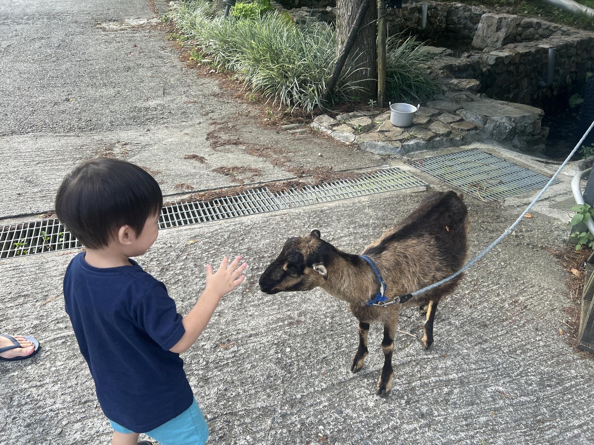 [ 宜蘭露營 ] 鷗漫景觀農場 宜蘭親子露營宜蘭免搭帳
