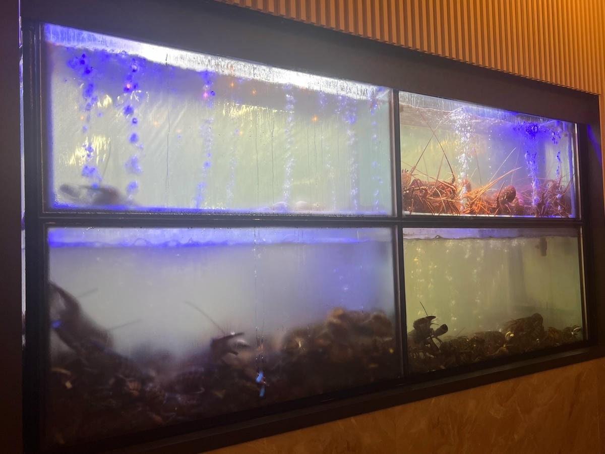 [ 桃園食記 ] 宗初食堂日式無菜單料理桃園分店 桃園C