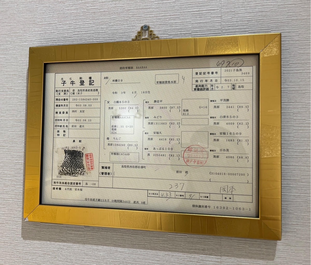 [ 桃園食記 ] 純水燒肉 桃園燒肉單點燒肉店推薦 桃