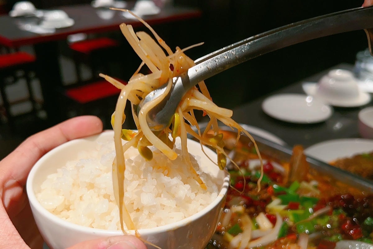 [ 桃園食記 ] 椒之香創意川菜 