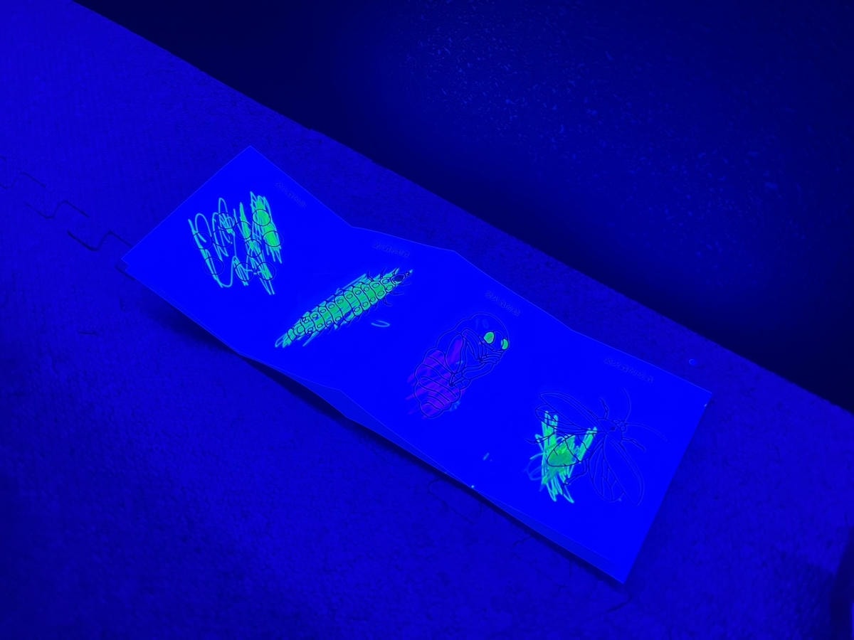 [ 親子樂園 ] INSECT PARK昆蟲島互動樂園3月2