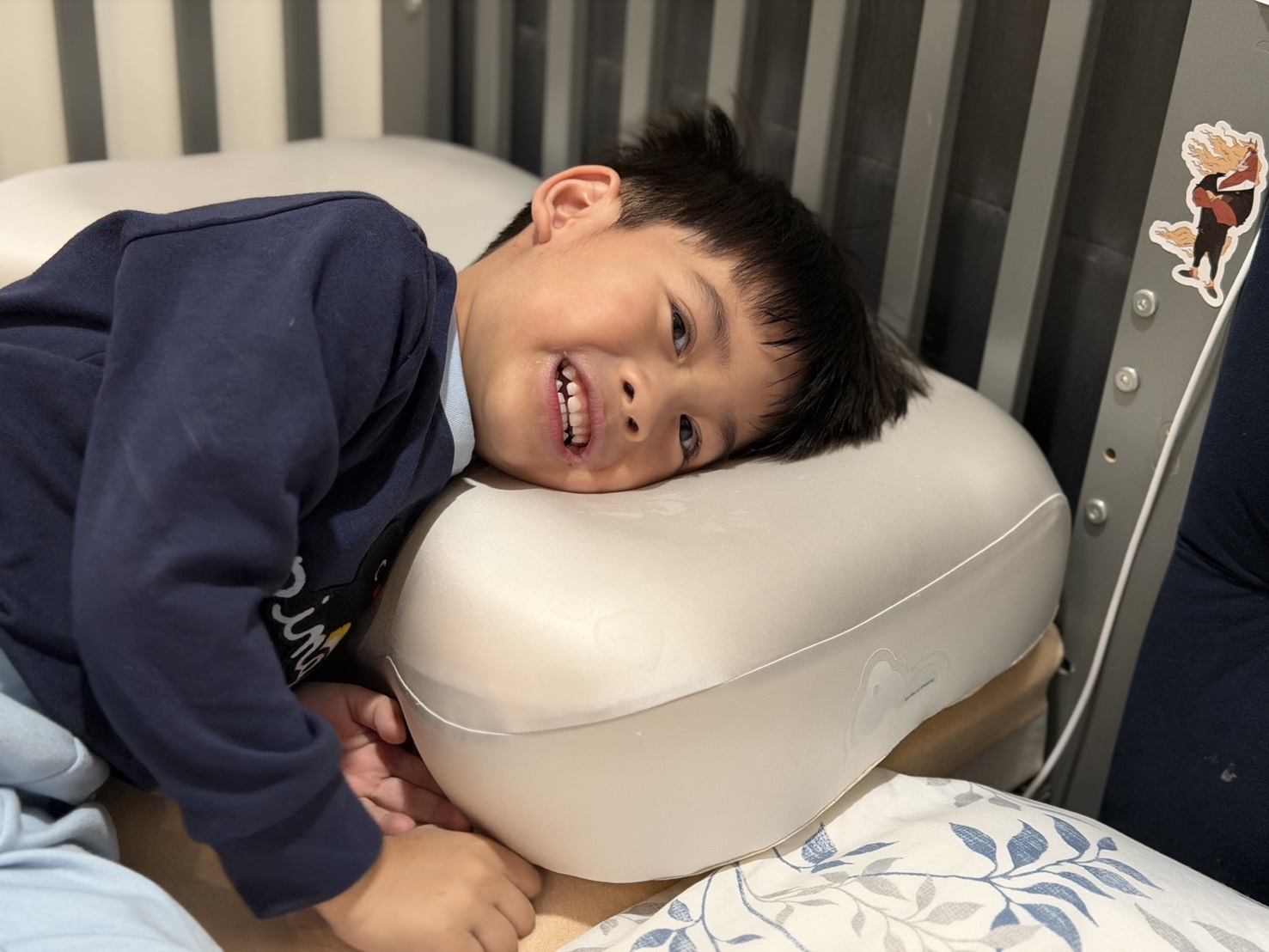 [ 家居分享 ] 青鳥家居奶蓋雙餡枕 高品質枕頭一睡回不去的躺感，支撐感枕頭推薦