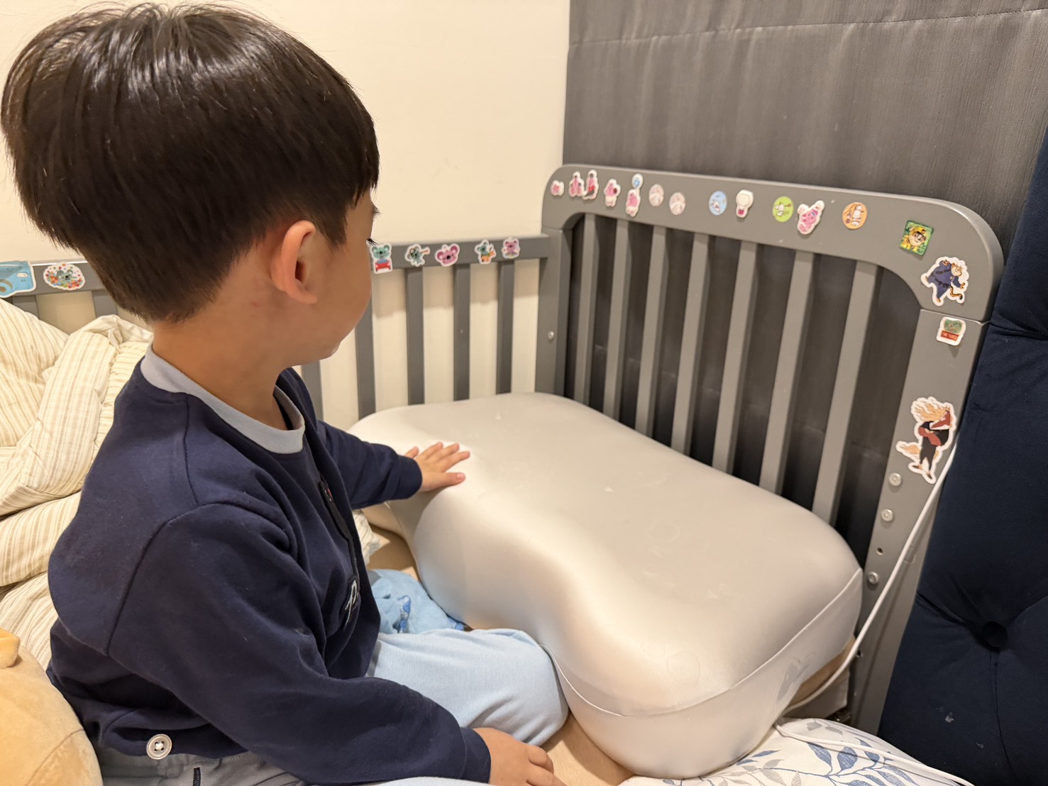 [ 家居分享 ] 青鳥家居奶蓋雙餡枕 高品質枕頭一睡回不去的躺感，支撐感枕頭推薦